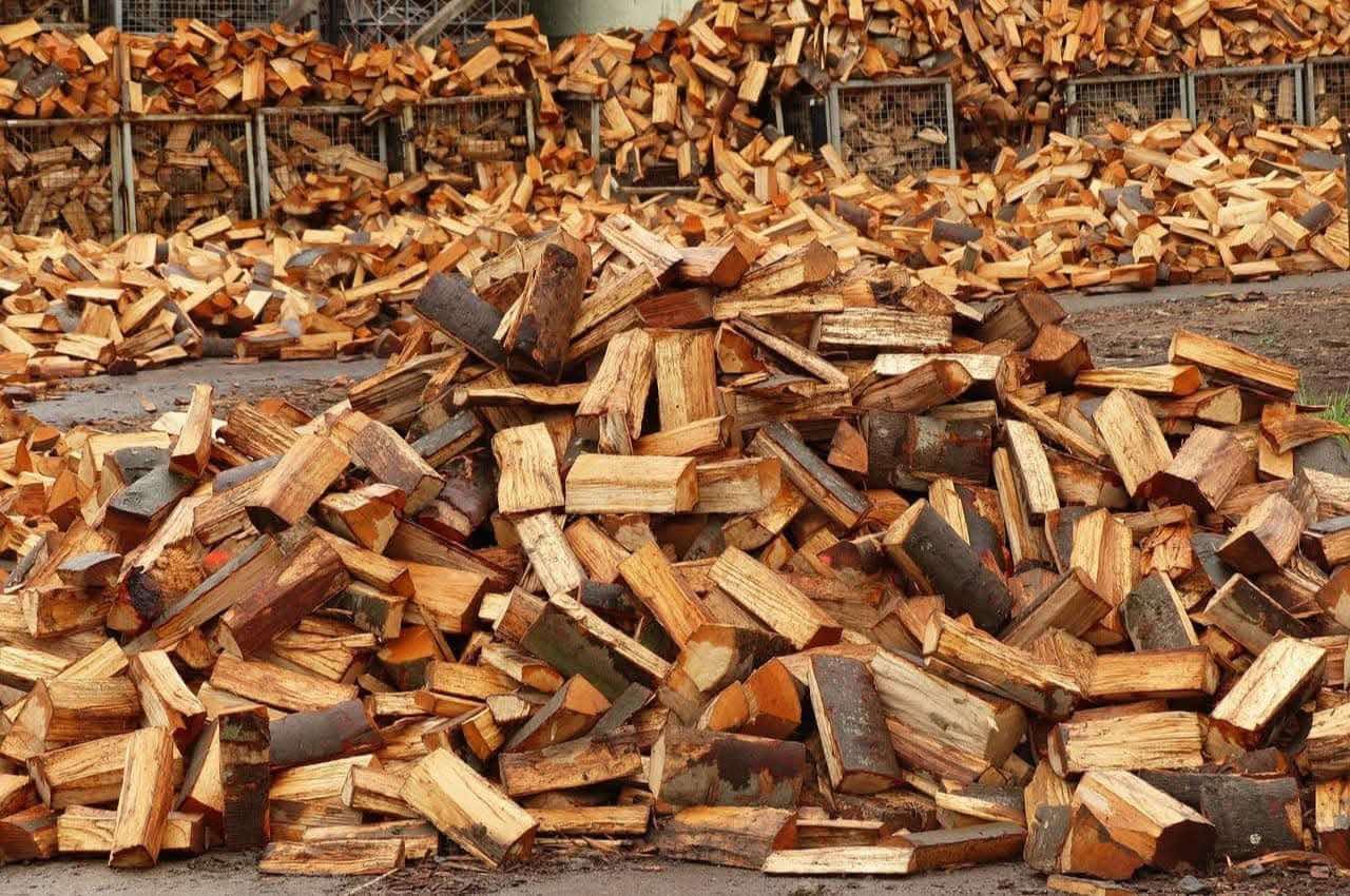 特定技能-木材産業